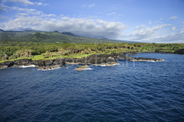 Maui landscape. Stock photo © iofoto