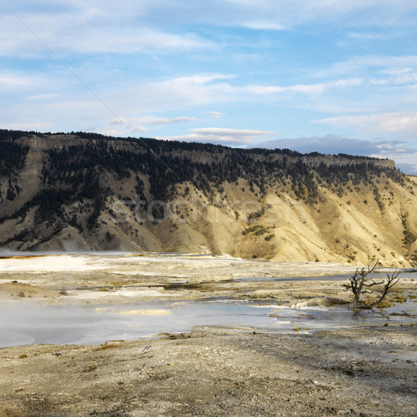 Park hegyek terméketlen völgy Wyoming természet Stock fotó © iofoto