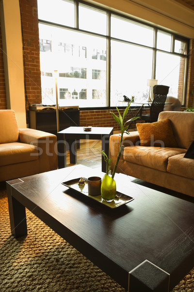 Living area of loft apartment. Stock photo © iofoto