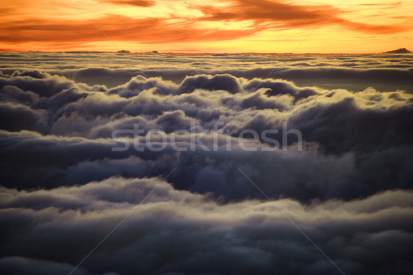 Sunrise over clouds. Stock photo © iofoto