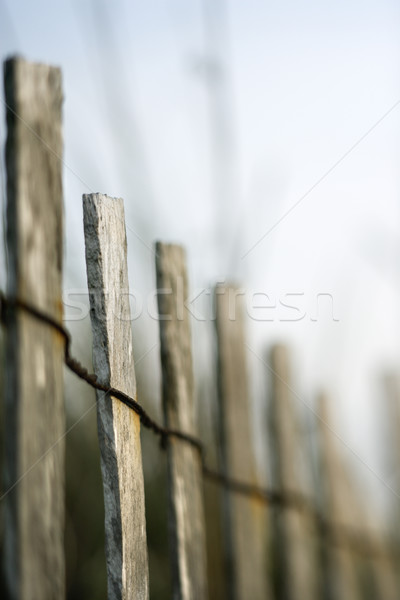 Wooden beach fence. Stock photo © iofoto