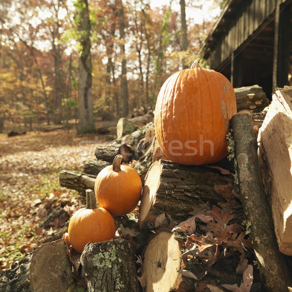 Foto stock: Abóboras · lenha · rural · cor · país