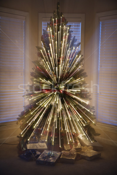Christmas tree. Stock photo © iofoto