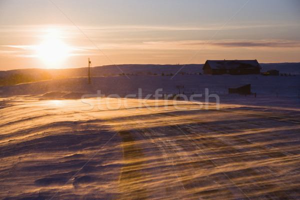 Ice covered road. Stock photo © iofoto