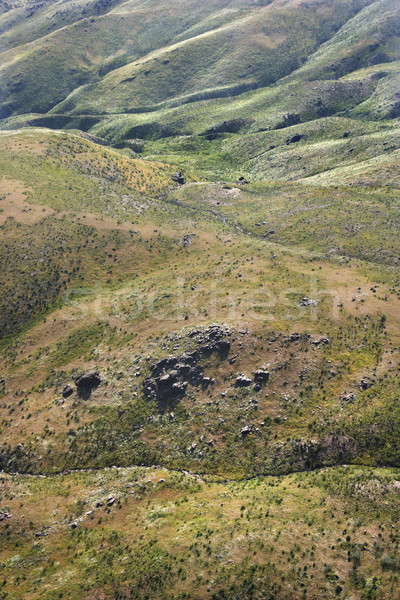 Rolling hill landscape. Stock photo © iofoto