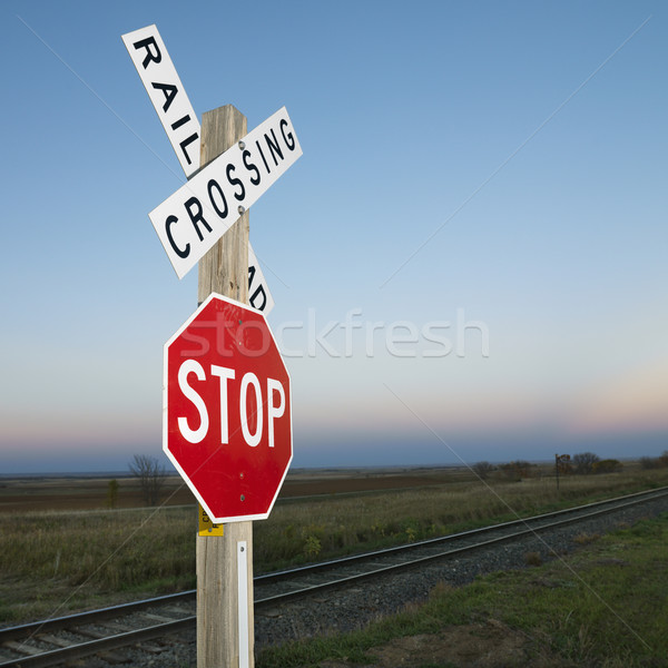 Railroad and stop sign. Stock photo © iofoto