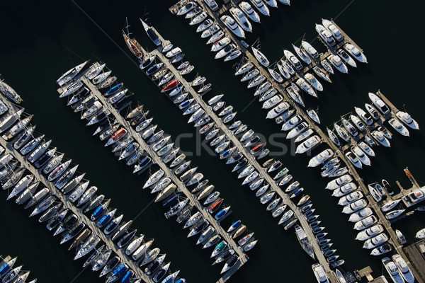 Aerial of Sydney Marina Stock photo © iofoto