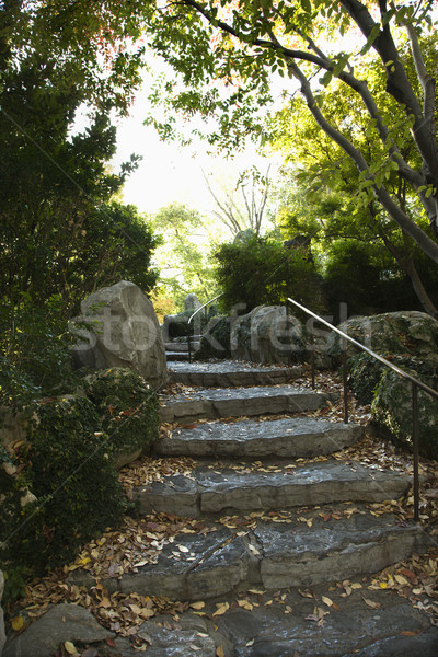 Steen stappen trap outdoor tuin Sydney Stockfoto © iofoto