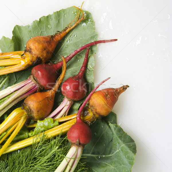 Beets with greens. Stock photo © iofoto