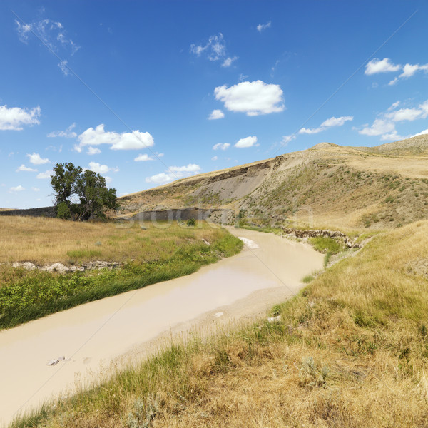 Creek landscape. Stock photo © iofoto