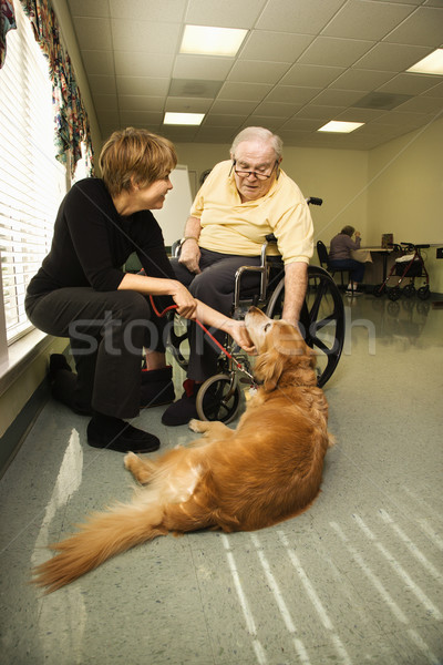 Elderly Man with Woman Petting Dog Stock photo © iofoto