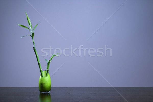 Lucky Bamboo in Green Glass Vase Stock photo © iofoto