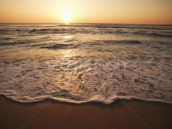 Sunset at beach. Stock photo © iofoto