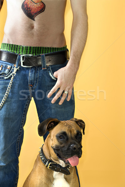 Man with Boxer dog. Stock photo © iofoto