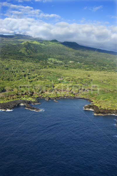 Maui coastline. Stock photo © iofoto