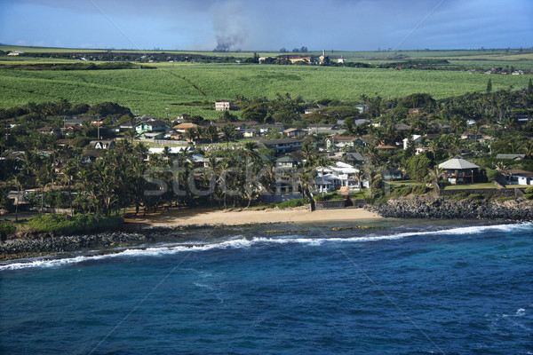 Houses on Maui coast. Stock photo © iofoto