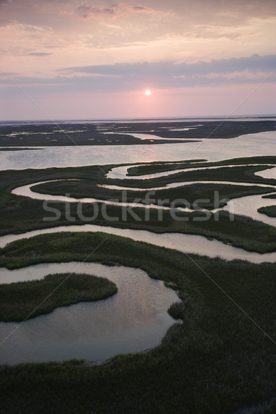 Aerial of wetlands. Stock photo © iofoto