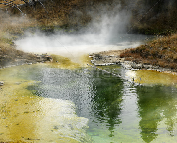 公園 カラフル ミネラル 間欠泉 ワイオミング州 春 ストックフォト © iofoto