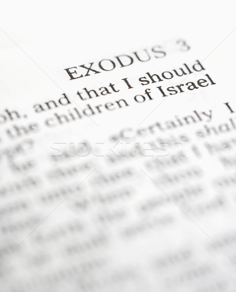 Holy Bible Exodus. Stock photo © iofoto