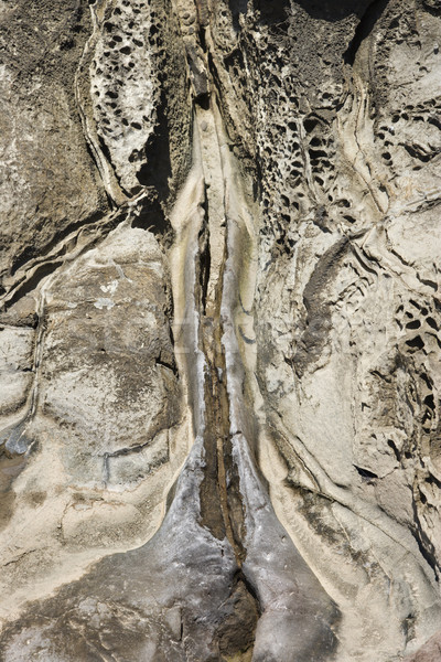 Lava rock texture in Maui. Stock photo © iofoto