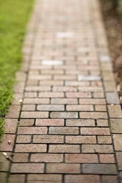 Red Brick Walkway Stock photo © iofoto