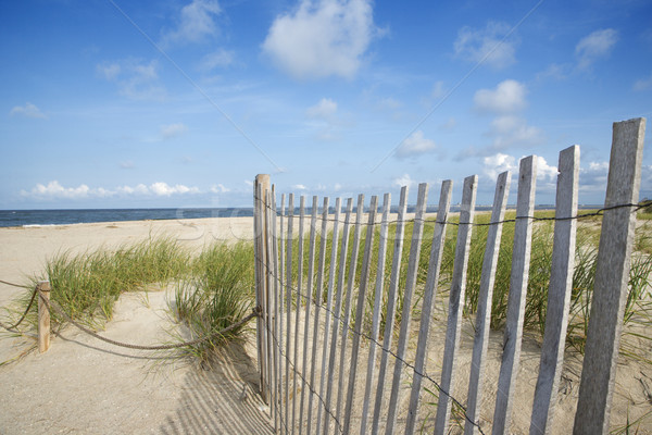 Patiné bois clôture dune de sable plage Voyage [[stock_photo]] © iofoto