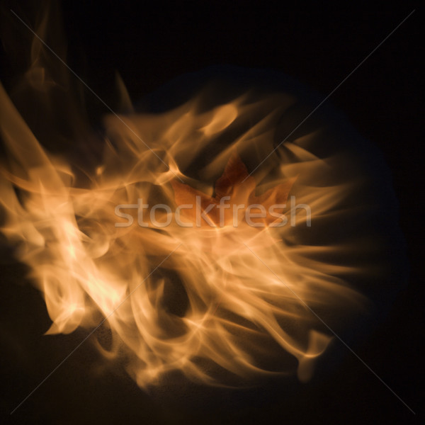 Maple leaf in flames. Stock photo © iofoto