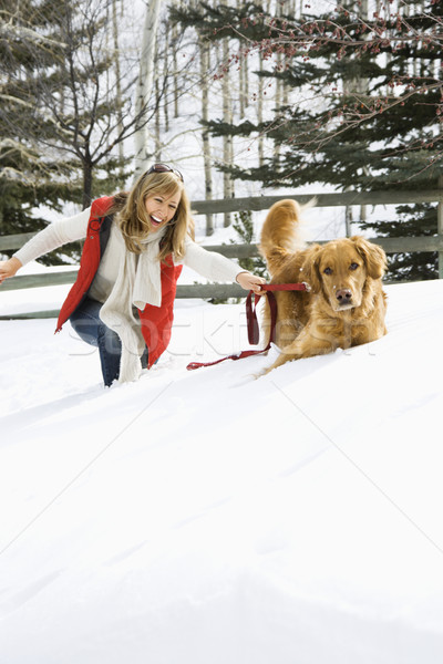 Woman playing with dog. Stock photo © iofoto
