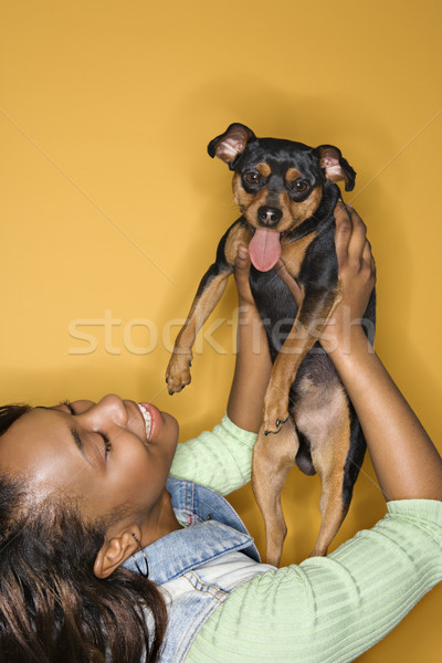 Nő tart kis kutya afroamerikai fiatal felnőtt női Stock fotó © iofoto