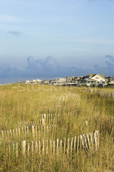 Natural beach area with houses. Stock photo © iofoto