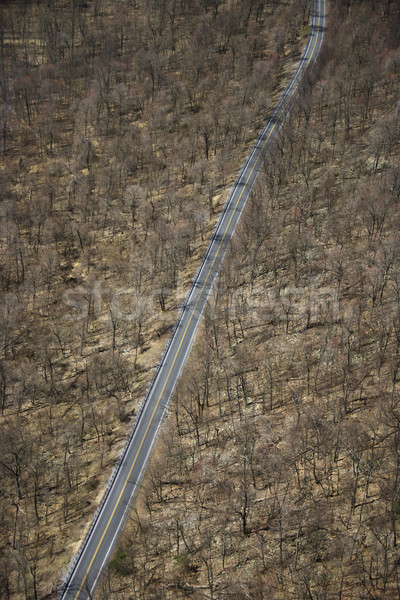 Rural road. Stock photo © iofoto