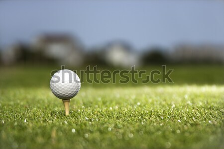 Golf ball on tee. Stock photo © iofoto