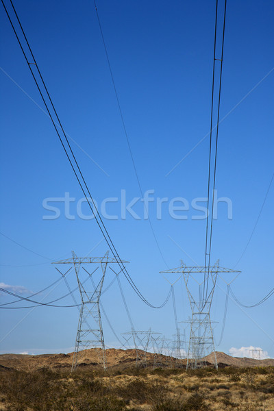 Electrical power lines. Stock photo © iofoto