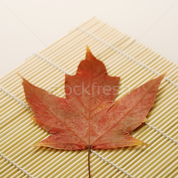 Maple leaf on bamboo mat. Stock photo © iofoto