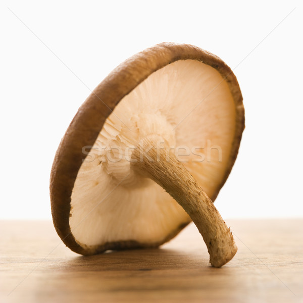 Mushroom still life. Stock photo © iofoto