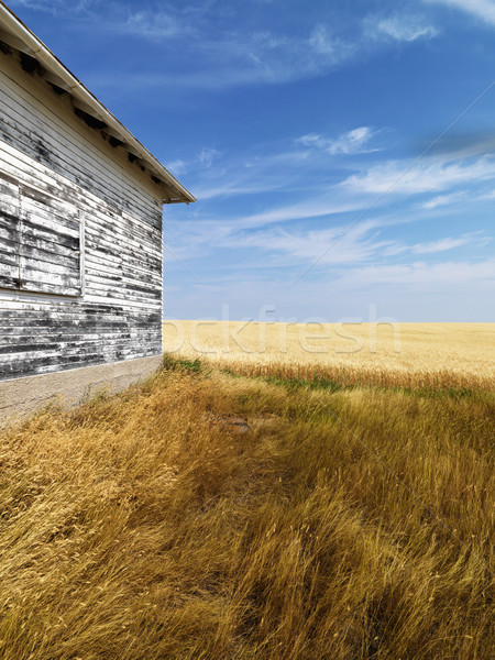 Building and grassland. Stock photo © iofoto
