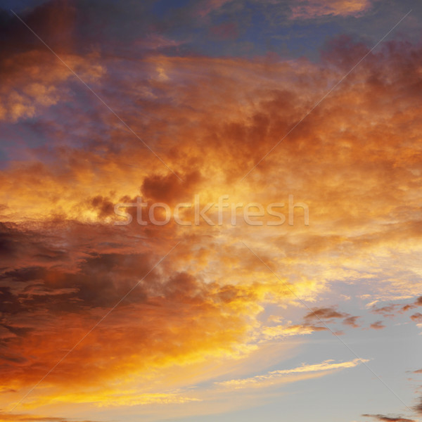 Sunset skyscape. Stock photo © iofoto