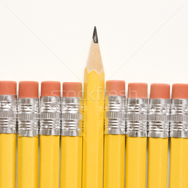 Row of pencils. Stock photo © iofoto