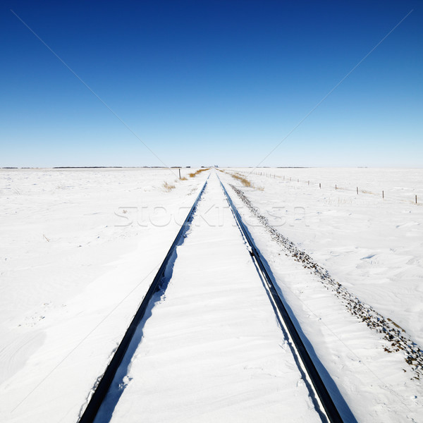 Snow covered railroad tracks. Stock photo © iofoto