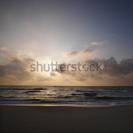 Sunset over beach. Stock photo © iofoto