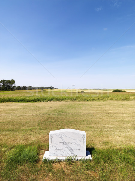 Headstone in field. Stock photo © iofoto