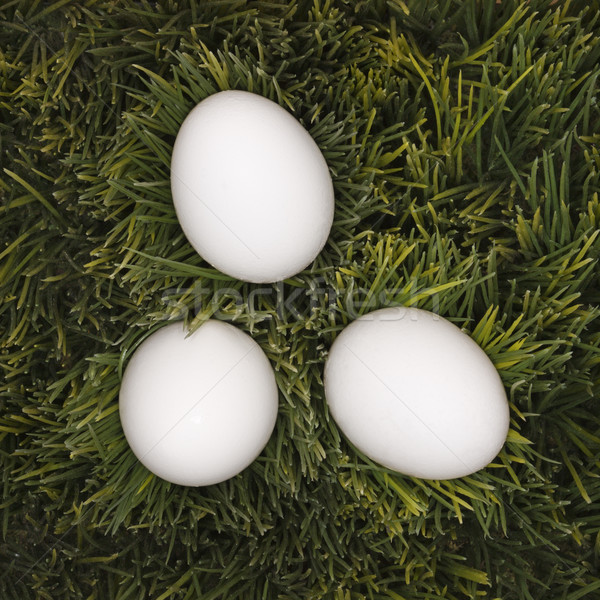 Three white eggs in grass. Stock photo © iofoto