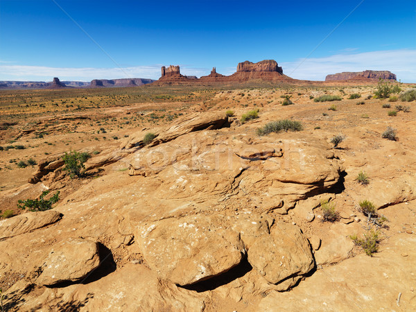 Rocky desert landscape. Stock photo © iofoto