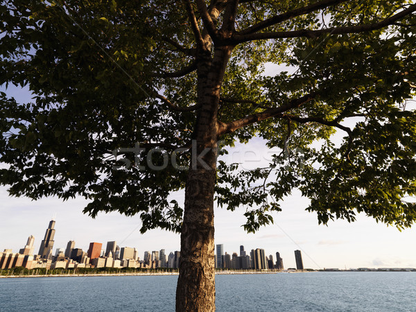 Lake Michigan, Chicago. Stock photo © iofoto