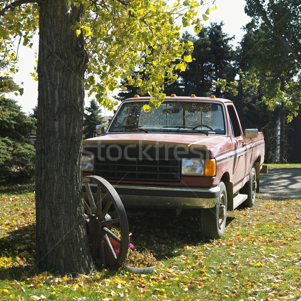 Pick up truck parked. Stock photo © iofoto