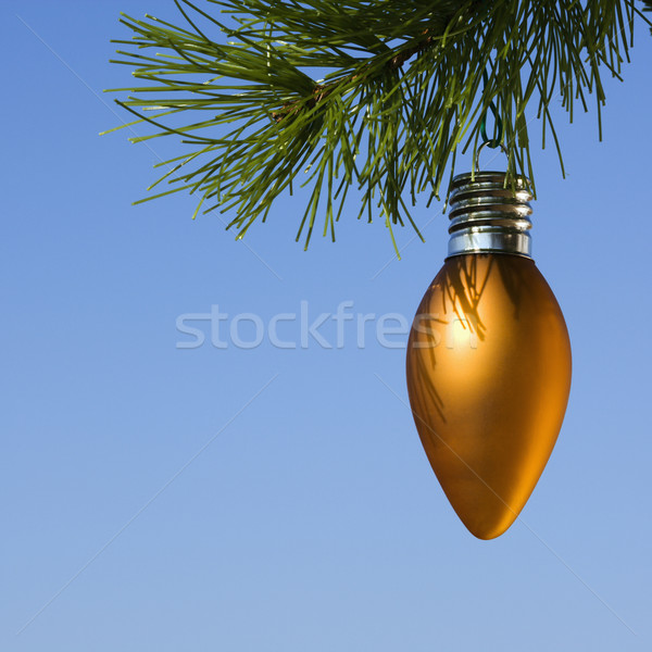 Ornament on tree. Stock photo © iofoto