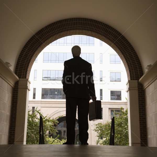 Businessman holding briefcase. Stock photo © iofoto