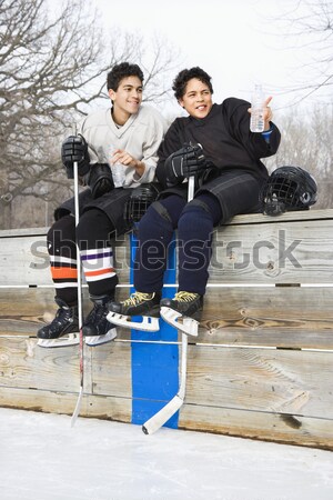 Hokej gracze dwa chłopców posiedzenia Zdjęcia stock © iofoto