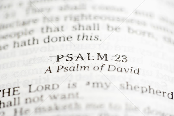 Psalm of David. Stock photo © iofoto