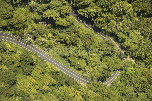 Scenic highway. Stock photo © iofoto